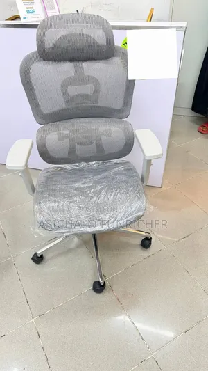 Eirgonomice Chairs