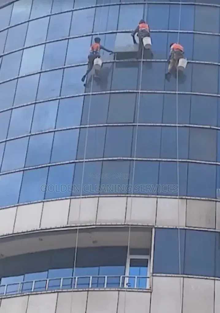 Window Cleaning Service