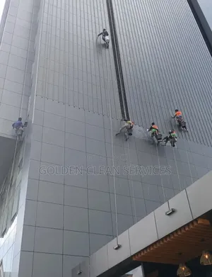 Window Cleaning Service