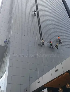 Window Cleaning Service