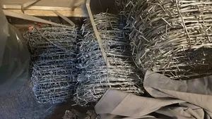 Galvanized Barbed Wire/የ አጥር ሽቦ
