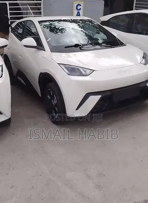 New BYD Seagull 2025 White