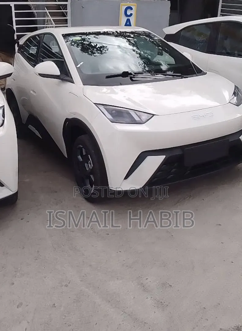 New BYD Seagull 2025 White