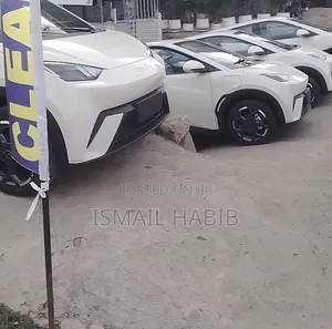 New BYD Seagull 2025 White