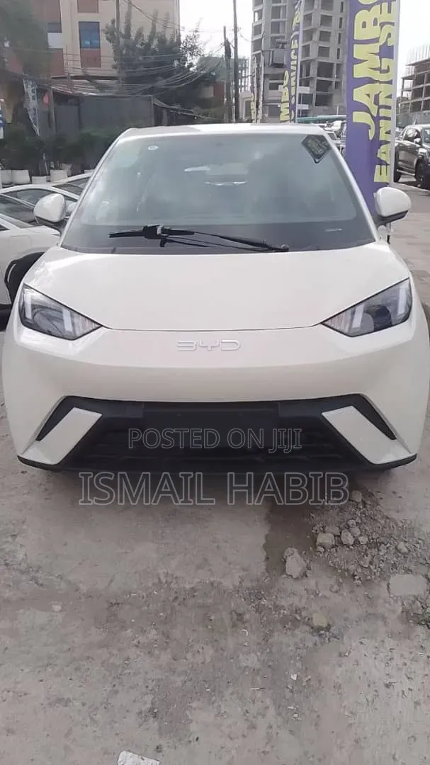 New BYD Seagull 2025 White