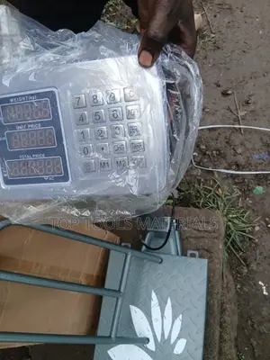 ፡Digital Platform Scale)