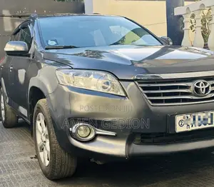 Toyota RAV4 2010 Gray