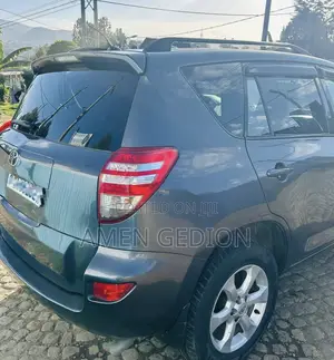 Toyota RAV4 2010 Gray
