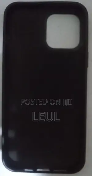 iPhone 13 Pro Max Case