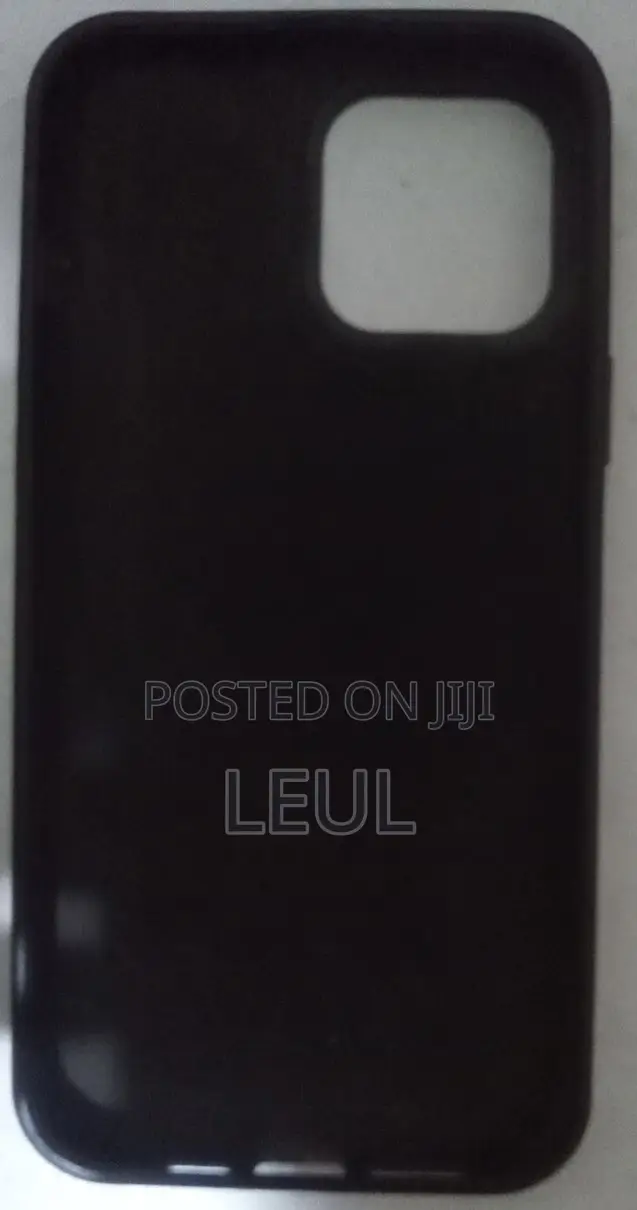 iPhone 13 Pro Max Case