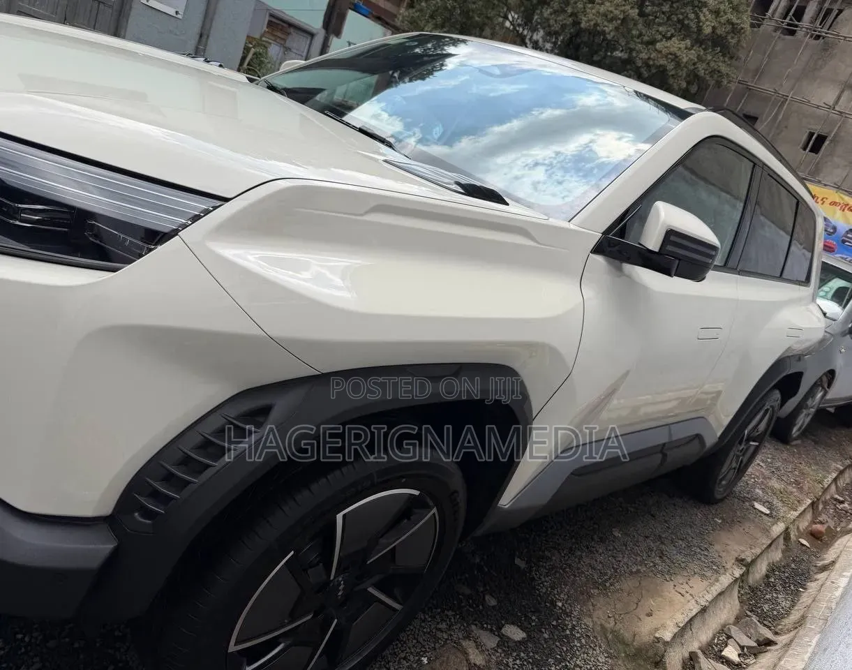 New BYD Leopard 5 2025 White