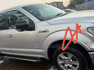 Ford F-150 2016 Silver