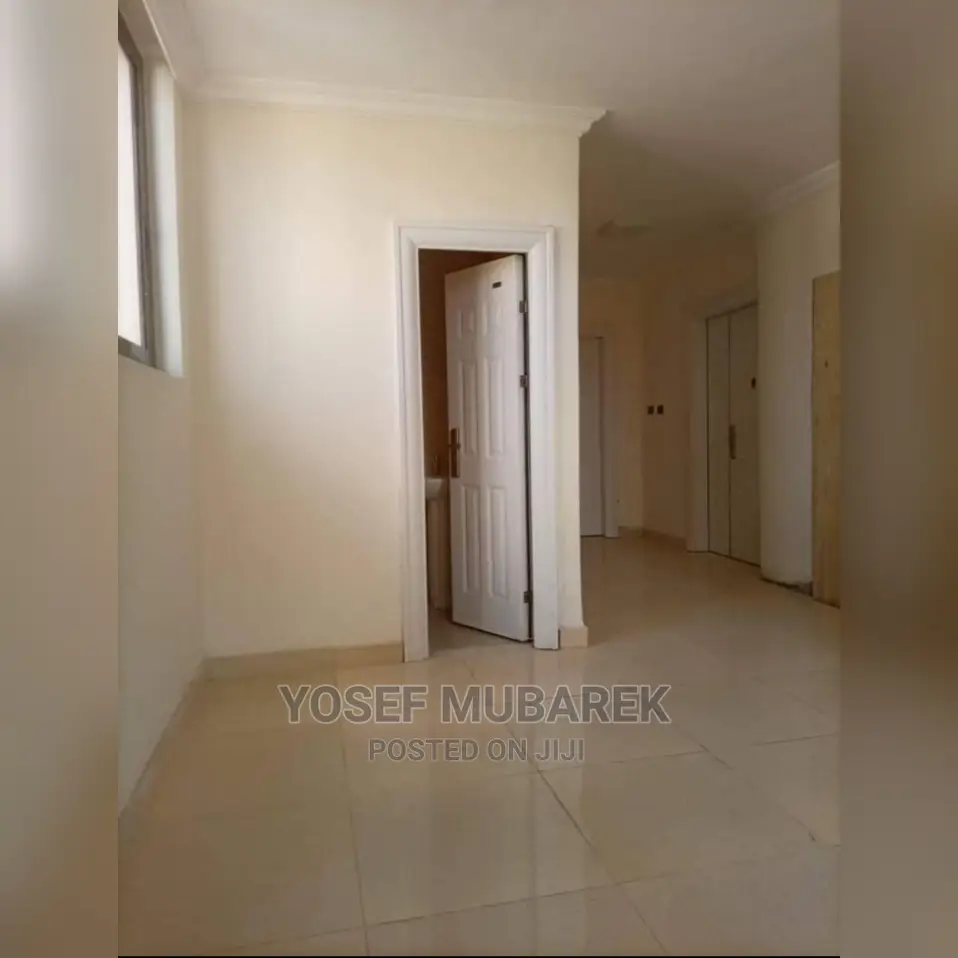 Secured and Luxury Door