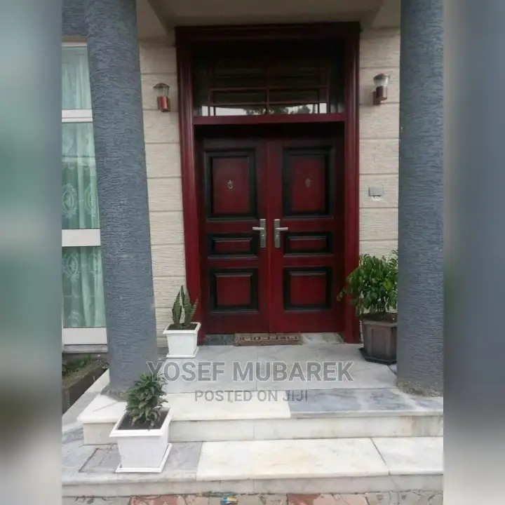 Secured and Luxury Door