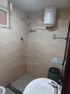Furnished Studio Apartment in Real Property, Bole for rent