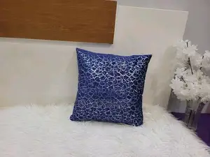 Pillow and Pillow Case