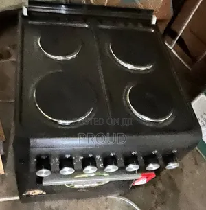 Apple 4 Elctric Oven