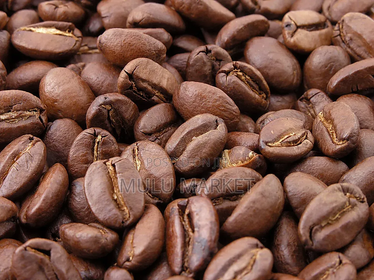 Jimma Roasted Coffee