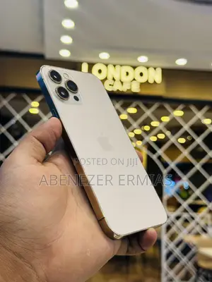 Apple iPhone 12 Pro Max 256 GB Gold