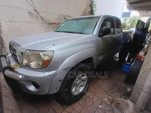 Toyota Tacoma 2007 Silver