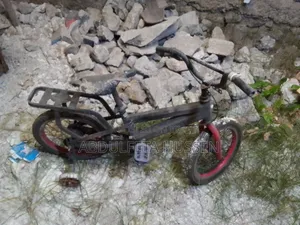 Kids Bicycle
