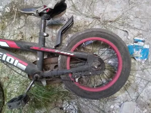 Kids Bicycle