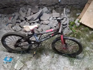 Used 20" Bike Little Cracks Two Place on the Frame You Can Fix It Easi