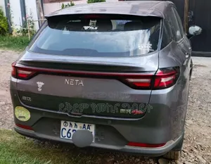 Hozon Neta Aya 2024 Gray