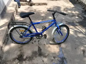 Creeper 20 Inch Bicycle for Sell