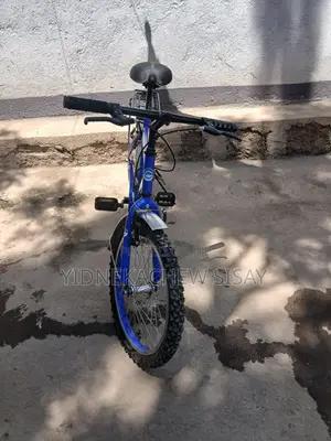 Creeper 20 Inch Bicycle for Sell