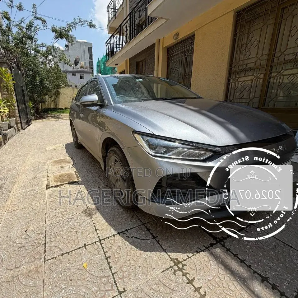 New BYD E2 43 kWh 94 hp FWD 2025 Gray