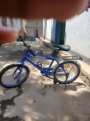Creeper 20 Inch Bicycle for Sell