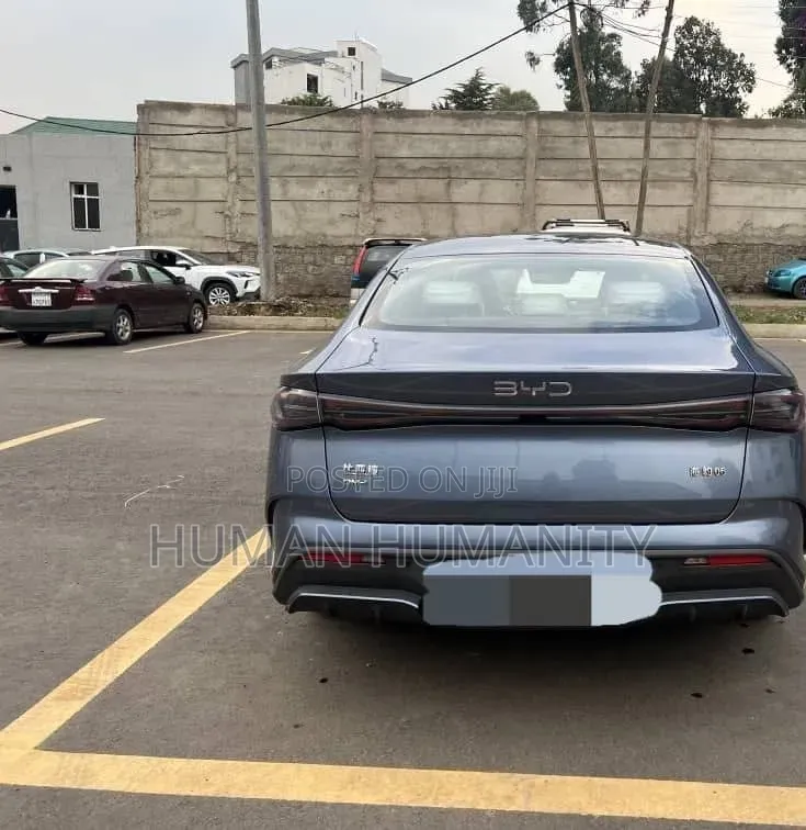 BYD Seal 2024 Gray