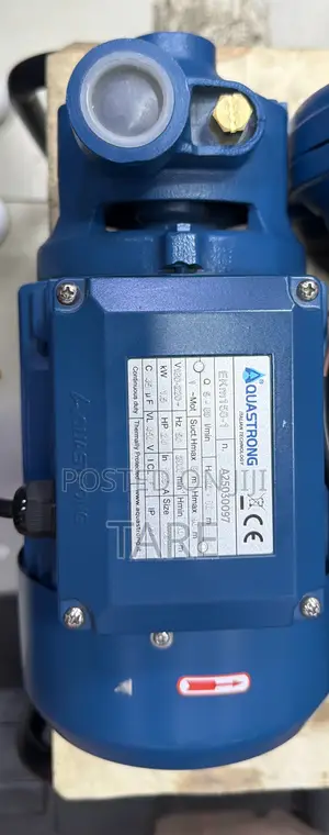Aquastrong Surface Water Pump