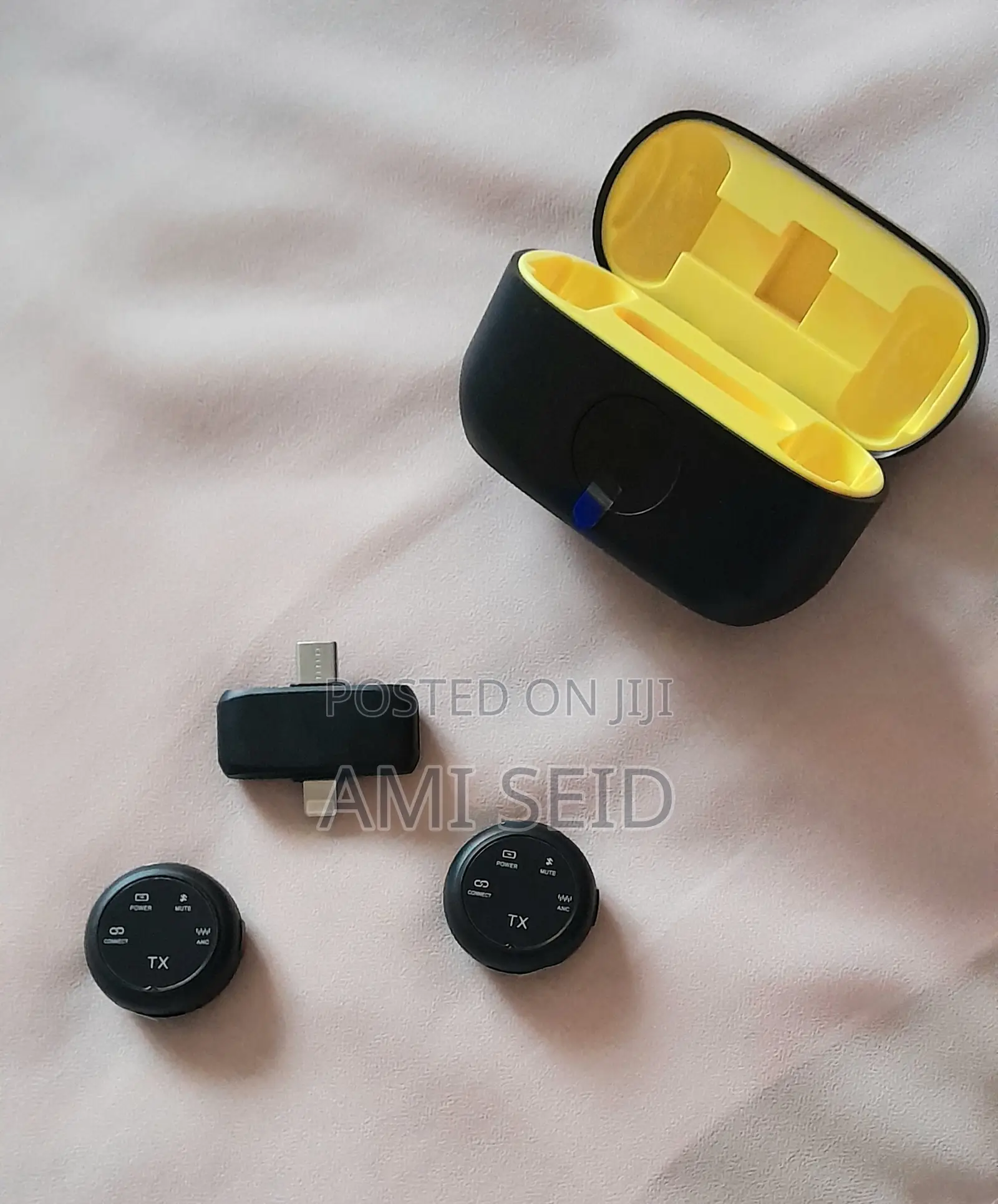 Wireless Mic