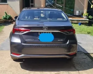 Toyota Corolla 2020 Gray