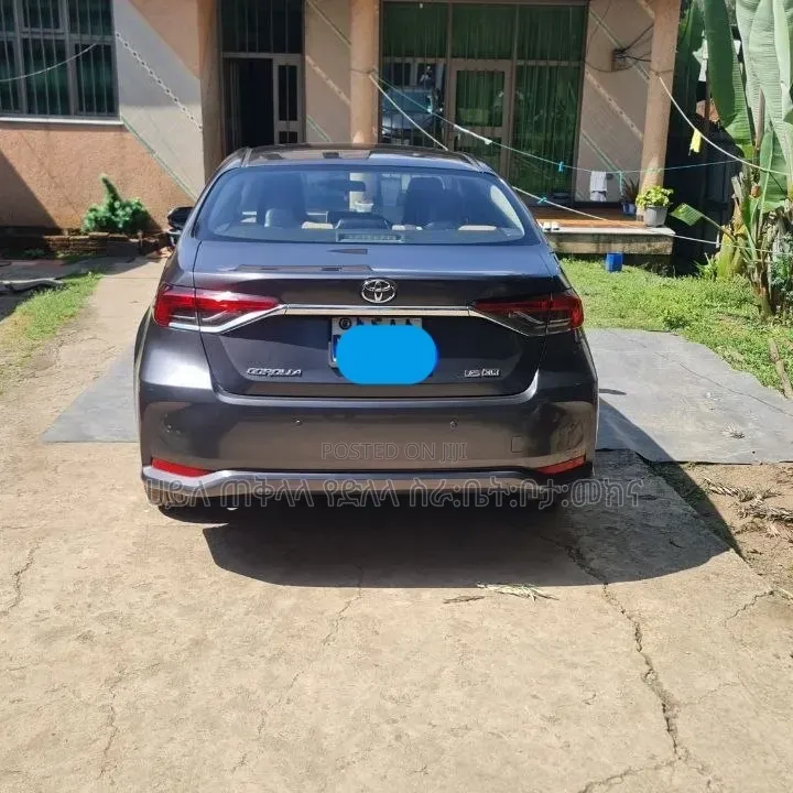 Toyota Corolla 2020 Gray