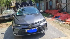 Toyota Corolla 2020 Gray