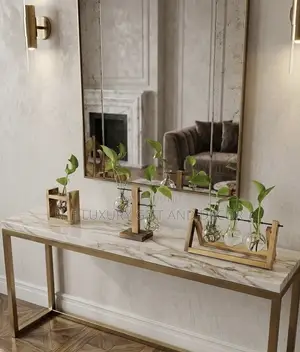 Hydroponic Plants