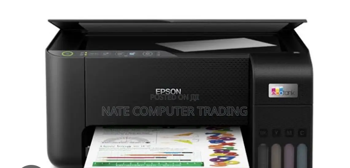 Epson Color Printer 3250