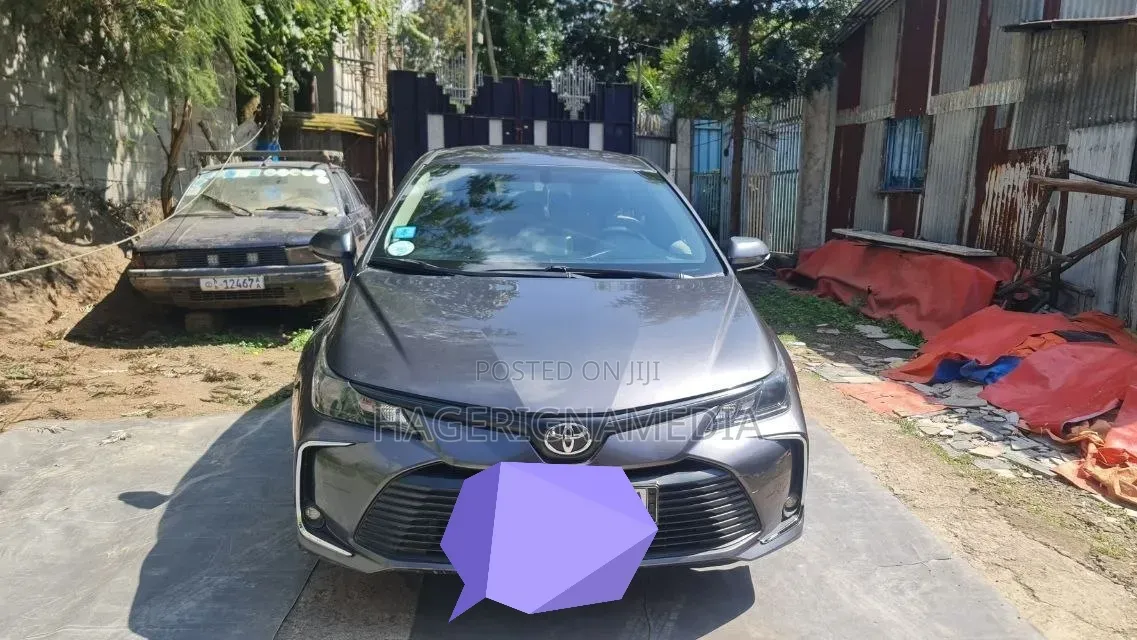 Toyota Corolla 2020 Gray