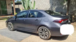 Toyota Corolla 2020 Gray