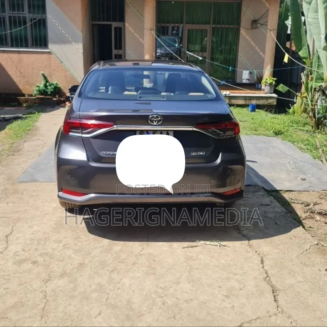 Toyota Corolla 2020 Gray