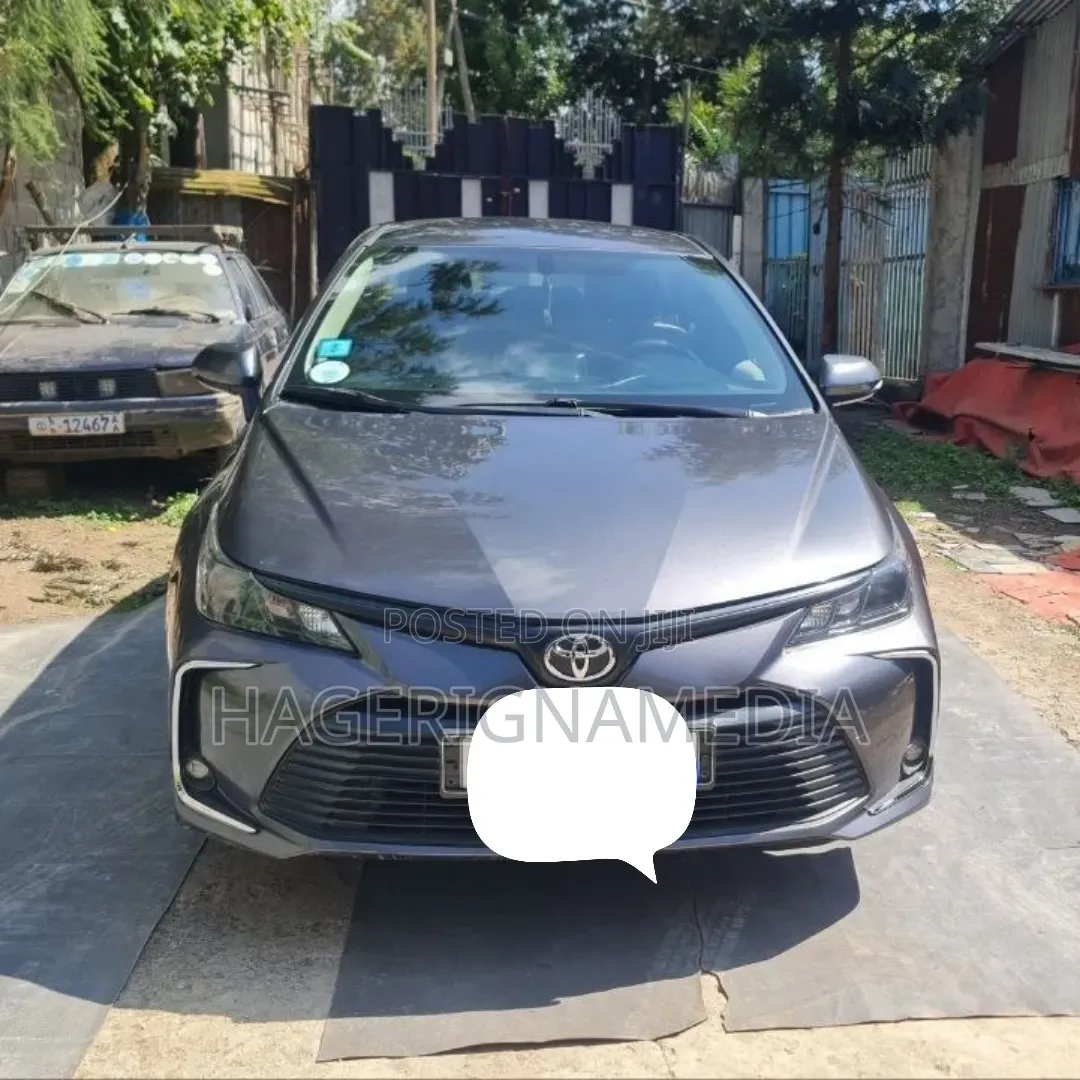 Toyota Corolla 2020 Gray