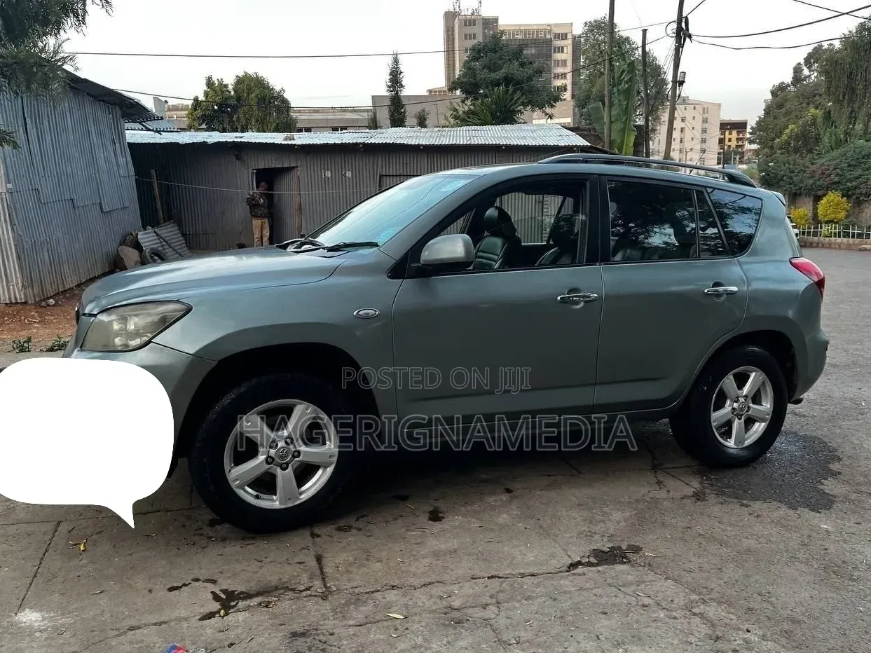 Toyota RAV4 2006 Gray