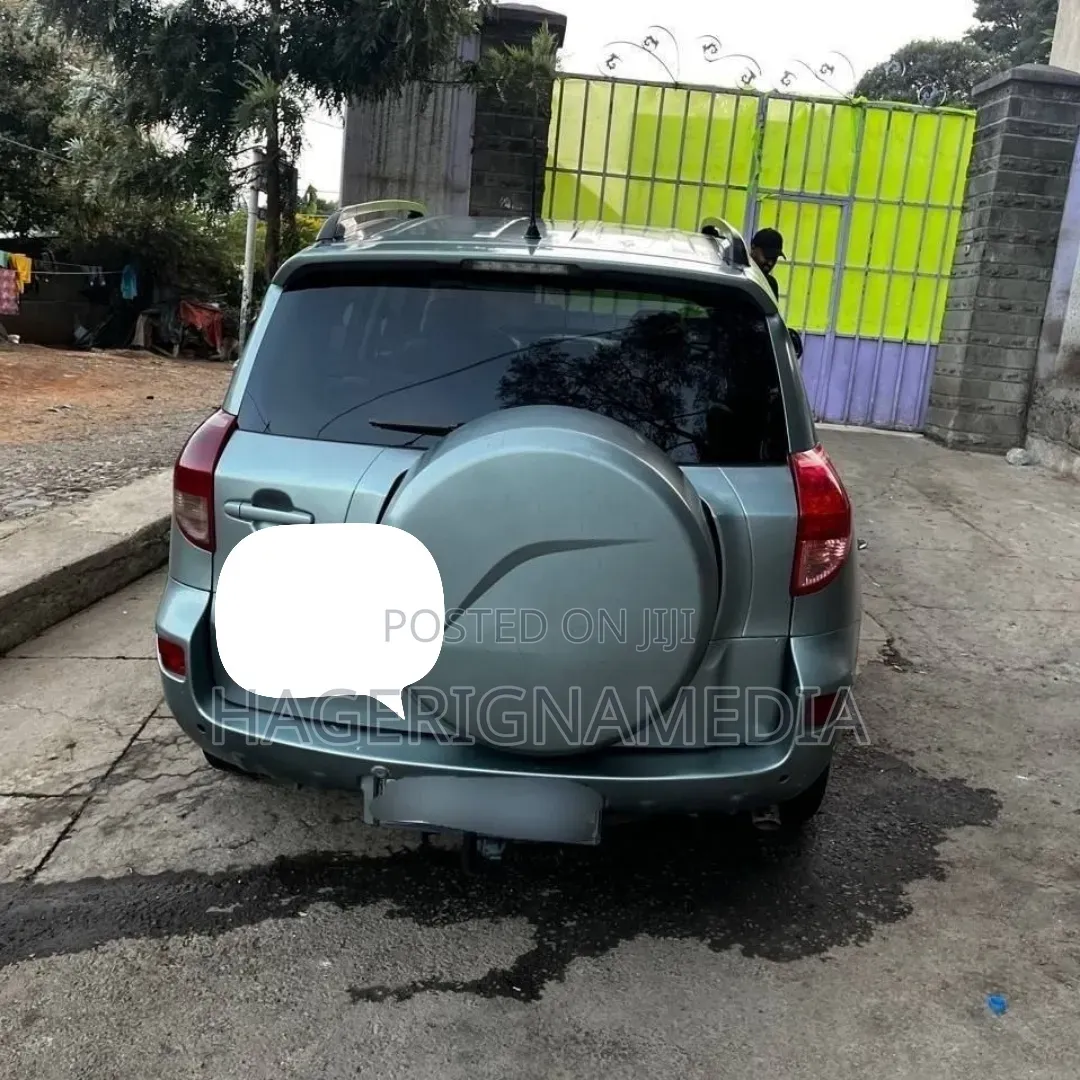 Toyota RAV4 2006 Gray