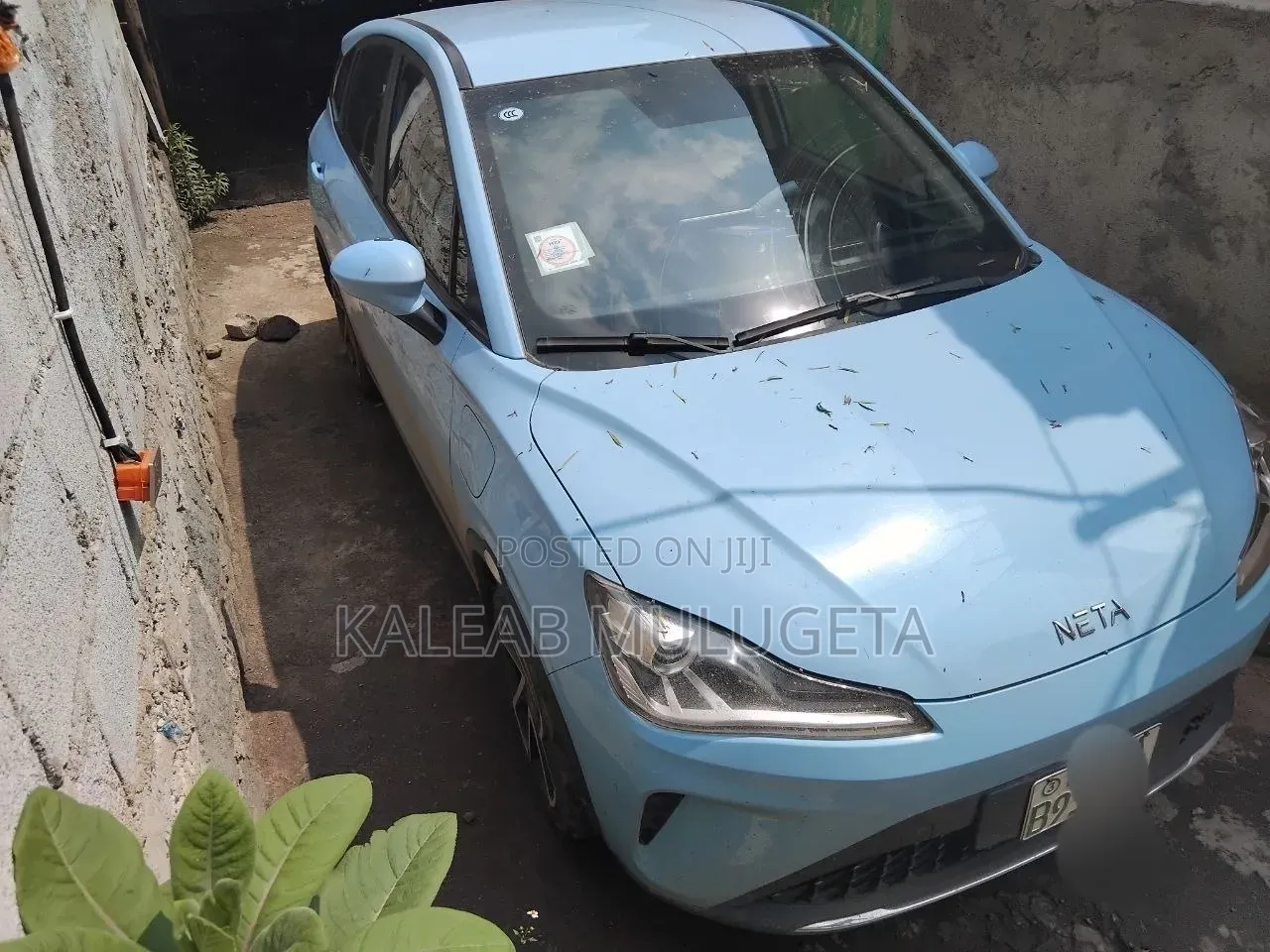 BYD Seagull 2023 Blue