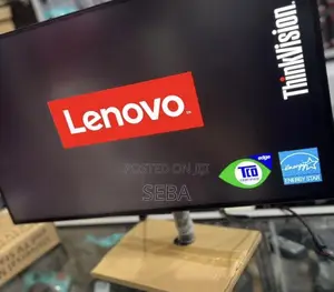 Lenovo Think Vision