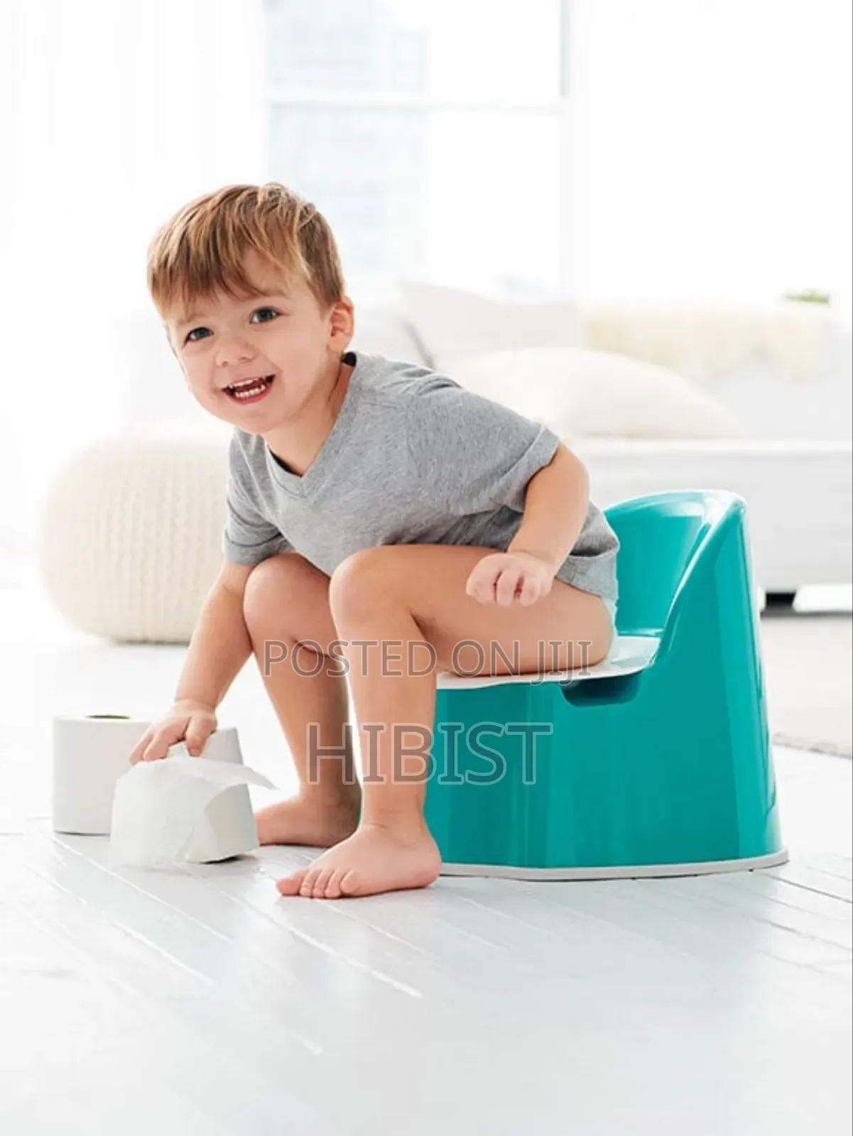 Potty Training Seat