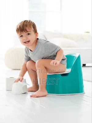 Potty Training Seat